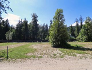 Photo 2: Site 3 1701  Ireland Road in Seymour Arm: Recreational for sale : MLS®# 10310478