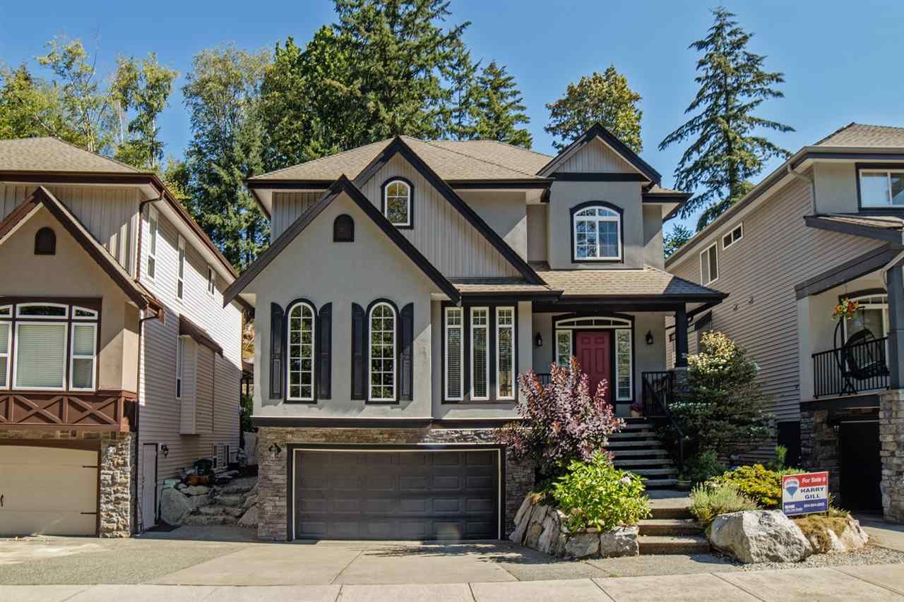 Main Photo: 32 33925 ARAKI Court in Mission: Mission BC House for sale in "Abbey Meadows" : MLS®# R2103801