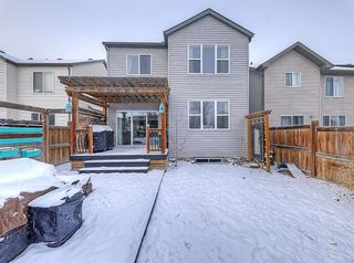 Photo 48: 86 Copperstone Crescent SE in Calgary: Copperfield Detached for sale : MLS®# A1178130