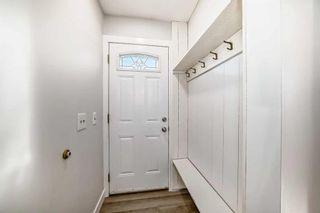 Photo 16: 2044 Pinetree Crescent NE in Calgary: Pineridge Detached for sale : MLS®# A2124958