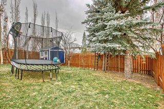 Photo 41: 35 Riverstone Crescent SE in Calgary: Riverbend Detached for sale : MLS®# A2100745