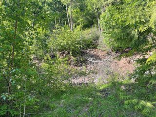 Photo 19: 46 Old Town Road, in Sicamous: Vacant Land for sale : MLS®# 10256751