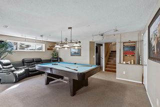 Photo 32: 121 Bridlewood Place SW in Calgary: Bridlewood Detached for sale : MLS®# A2005099