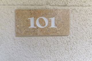 Photo 6: 420 Lake Street Unit 101 in Huntington Beach: Residential for sale (15 - West Huntington Beach)  : MLS®# OC17262797