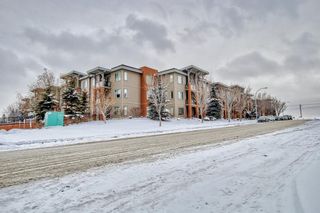 Photo 42: 321 2727 28 Avenue SE in Calgary: Dover Apartment for sale : MLS®# A2022433