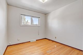 Photo 35: 1523 47 Street SE in Calgary: Forest Lawn Detached for sale : MLS®# A2020953