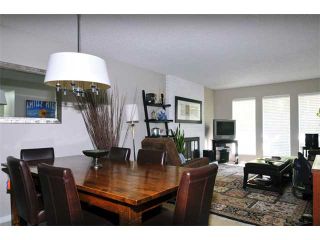 Photo 3: 1245 BLUFF Drive in Coquitlam: River Springs House for sale : MLS®# V975554