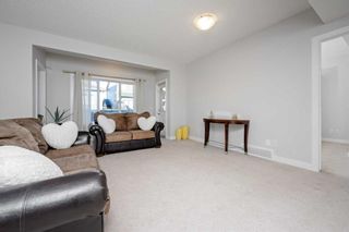 Photo 42: 193 Bayside Loop SW: Airdrie Detached for sale : MLS®# A2088169