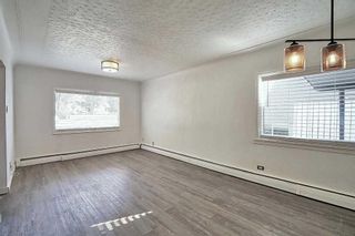 Photo 12: 8631 48 Avenue NW in Calgary: Bowness Detached for sale : MLS®# A2130721