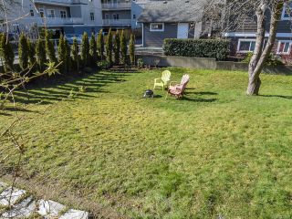 Photo 14: 528 3rd St in COURTENAY: CV Courtenay City House for sale (Comox Valley)  : MLS®# 835838