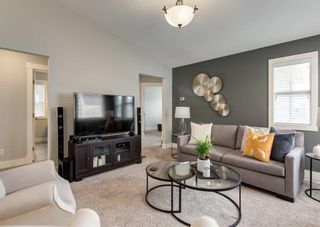 Photo 25: 222 Nolan Hill Boulevard NW in Calgary: Nolan Hill Detached for sale : MLS®# A2056784