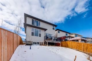 Photo 38: 102 Bayview Street SW: Airdrie Detached for sale : MLS®# A2108871