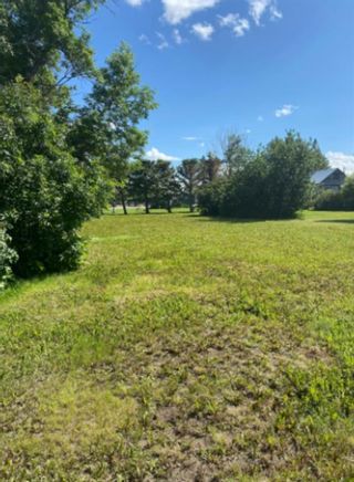 Photo 2: 5047 51 Avenue: Stavely Residential Land for sale : MLS®# A1231613