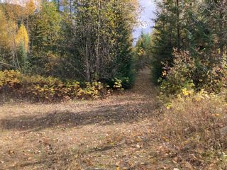 Photo 12: DL3592 & DL4084 1020 Forest Service Road in Seymour Arm: syemour arm Land Only for sale (shuswap)  : MLS®# 10241424