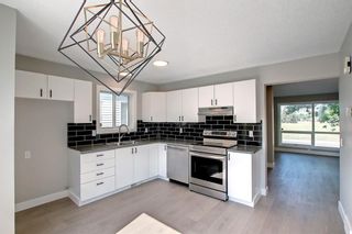 Photo 11: 815 Erin Woods Drive SE in Calgary: Erin Woods Detached for sale : MLS®# A1244913