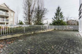 Photo 15: 106 20894 57 Avenue in Langley: Langley City Condo for sale : MLS®# R2224886
