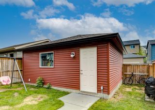 Photo 41: 481 Evanston Drive NW in Calgary: Evanston Detached for sale : MLS®# A1126574