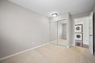 Photo 22: 203 305 25 Avenue SW in Calgary: Mission Apartment for sale : MLS®# A2044945