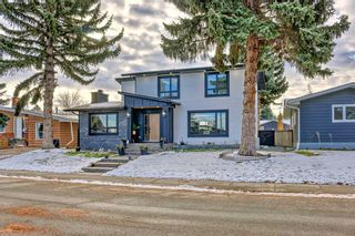 Main Photo: 201 Wascana Crescent SE in Calgary: Willow Park Detached for sale : MLS®# A2092458