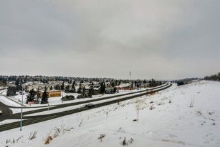 Photo 50: 275 Parkland Crescent SE in Calgary: Parkland Detached for sale : MLS®# A1064121