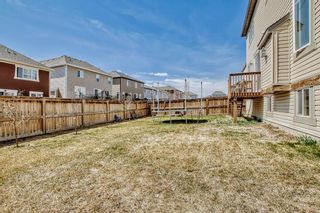 Photo 44: 357 VIEWPOINTE Terrace in Chestermere: House for sale : MLS®# A2042132