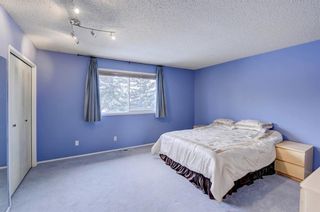 Photo 21: 69 9908 Bonaventure Drive SE in Calgary: Willow Park Row/Townhouse for sale : MLS®# A1207444