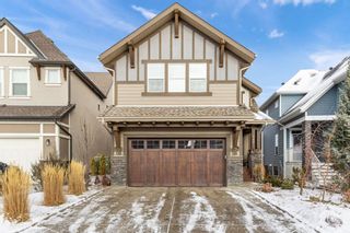 Photo 46: 147 Marquis Grove SE in Calgary: Mahogany Detached for sale : MLS®# A1178597