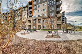 Photo 34: 303 20 Kincora Glen Park NW in Calgary: Kincora Apartment for sale : MLS®# A2131307