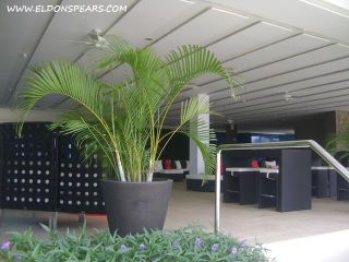 Photo 16: Condo for sale in the Luxurious Resort of Playa Bonita