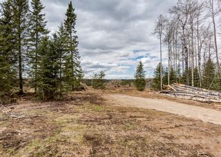 Photo 33: TWP 290 / Winchell Lake Rd: Rural Mountain View County Residential Land for sale : MLS®# A1217315