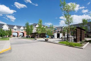 Photo 41: 235 15 Everstone Drive SW in Calgary: Evergreen Apartment for sale : MLS®# A2054915