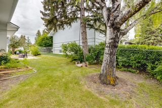 Photo 8: 4519 19 Avenue SW in Calgary: Glendale Detached for sale : MLS®# A1240850