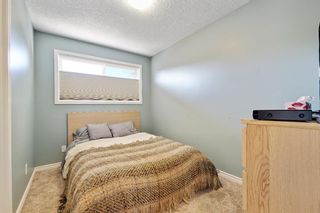 Photo 26: 83 Edforth Road NW in Calgary: Edgemont Detached for sale : MLS®# A1097477