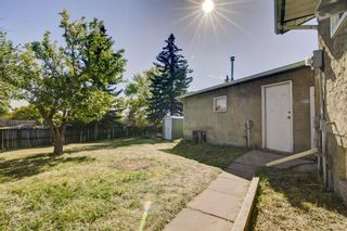 Photo 29: 115 Radley Place SE in Calgary: Albert Park/Radisson Heights Detached for sale : MLS®# A2007263