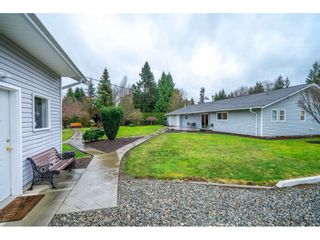 Photo 34: 4884 246A Street in Langley: Salmon River House for sale : MLS®# R2535071
