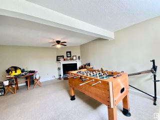Photo 29: 174 Willow Drive: Wetaskiwin House for sale : MLS®# E4305362