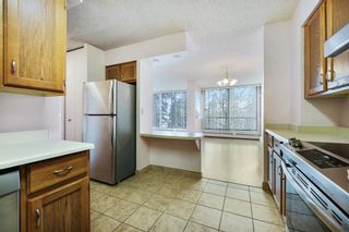 Photo 10: 303 80 Point Mckay Crescent NW in Calgary: Point McKay Apartment for sale : MLS®# A2014558