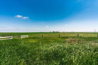 Photo 6: 336132 Hwy 547: Rural Foothills County Detached for sale : MLS®# C4255448