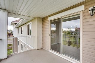 Photo 13: 312 428 CHAPARRAL RAVINE View SE in Calgary: Chaparral Apartment for sale : MLS®# A1055815