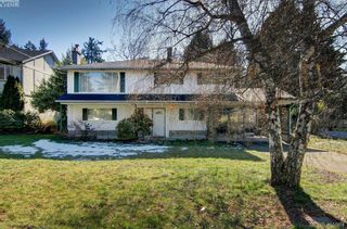 Photo 36: 1519 Winchester Rd in VICTORIA: SE Mt Doug House for sale (Saanich East)  : MLS®# 806818