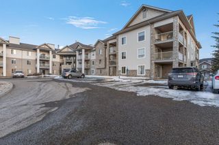 Main Photo: 2118 2600 66 Street NE in Calgary: Pineridge Apartment for sale : MLS®# A2125370