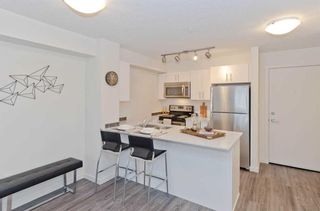Photo 7: 1105 181 Skyview Ranch Manor NE in Calgary: Skyview Ranch Apartment for sale : MLS®# A2125801