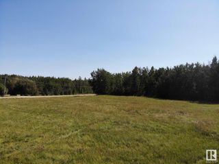 Photo 12: 50 Ave RR 281: Rural Wetaskiwin County Vacant Lot/Land for sale : MLS®# E4299520