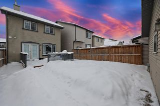 Photo 29: 22 Prestwick Place SE in Calgary: McKenzie Towne Detached for sale : MLS®# A2029398