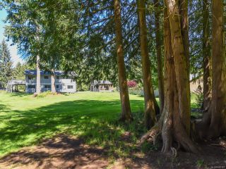 Photo 20: 4981 Childs Rd in COURTENAY: CV Courtenay North House for sale (Comox Valley)  : MLS®# 840349