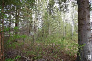 Photo 4: 3 3016 TWP Rd 572: Rural Lac Ste. Anne County Rural Land/Vacant Lot for sale : MLS®# E4293694