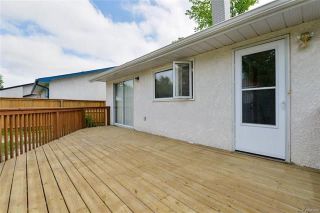Photo 15: 7 Thornhill Bay in Winnipeg: Fort Richmond Residential for sale (1K)  : MLS®# 1814692