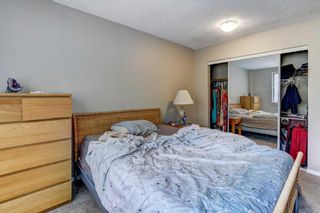 Photo 12: 101B 7301 4A Street SW in Calgary: Kingsland Apartment for sale : MLS®# A2078489