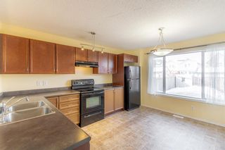 Photo 9: 231 Elgin Point SE in Calgary: McKenzie Towne Semi Detached (Half Duplex) for sale : MLS®# A2032557