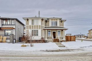 Photo 47: 201 RAINBOW FALLS Glen: Chestermere Detached for sale : MLS®# A2018927